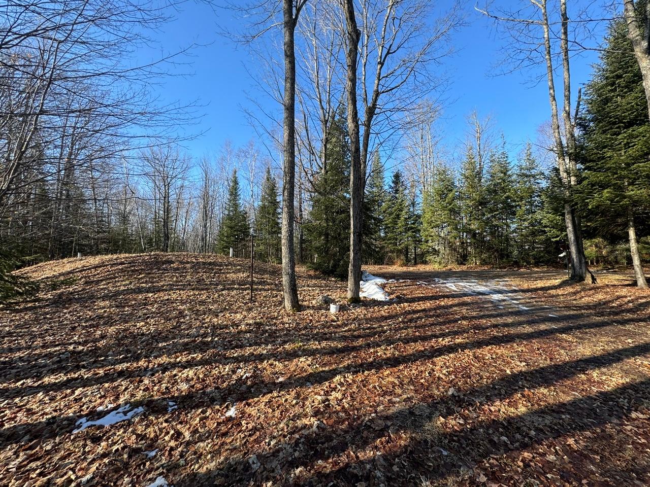 6054 West Dam Road Butternut, WI 54514 - Photo 27 of 28 Gallery Image 27
