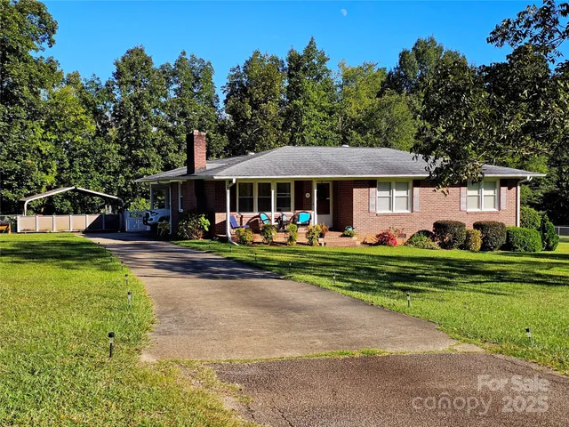 a view of a park with large trees and plants