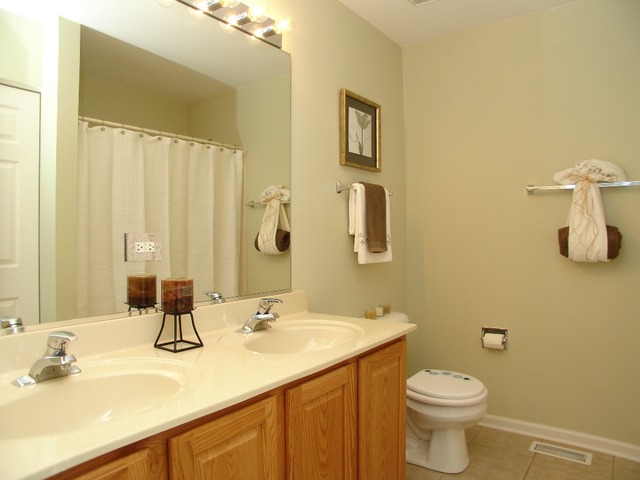 2408 Golf Ridge Circle Naperville, IL 60563 - Photo 13 of 25 a bathroom with a sink and a mirror
