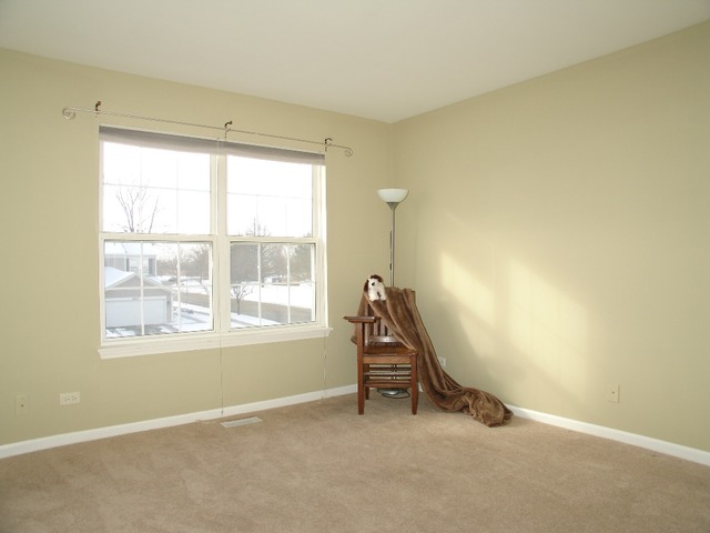 2408 Golf Ridge Circle Naperville, IL 60563 - Photo 16 of 25 a room with windows