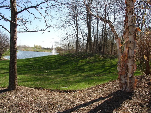 2408 Golf Ridge Circle Naperville, IL 60563 - Photo 19 of 25 a view of a garden with a tree