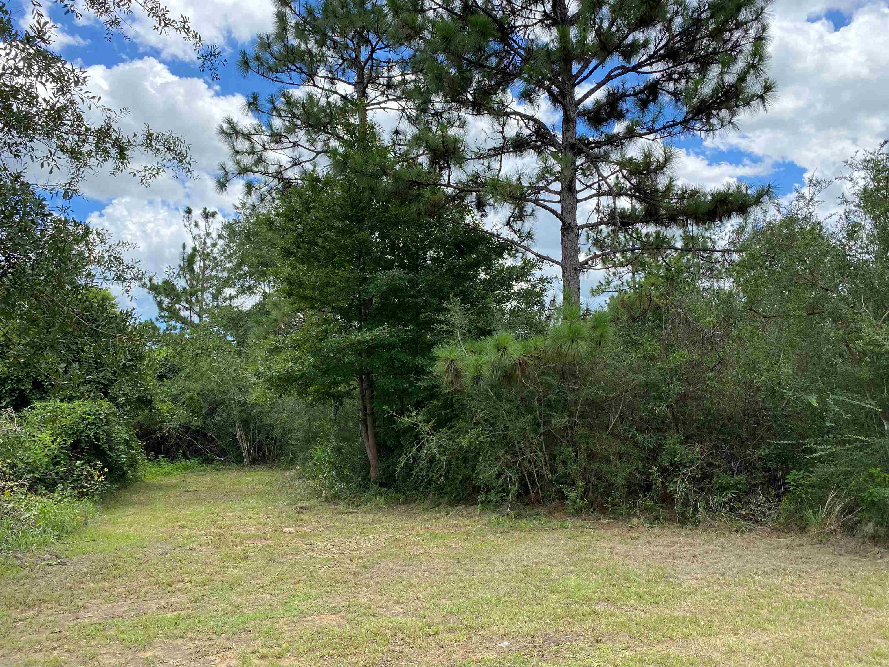 19345 Vaughn Road Seminole, AL 36574 - Photo 1 of 14