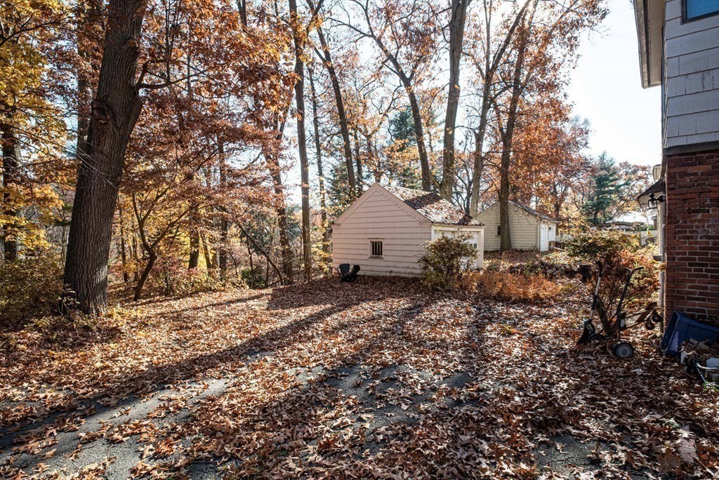 205 Norfolk Street Springfield, MA 01109 - Photo 34 of 39 Gallery Image 34