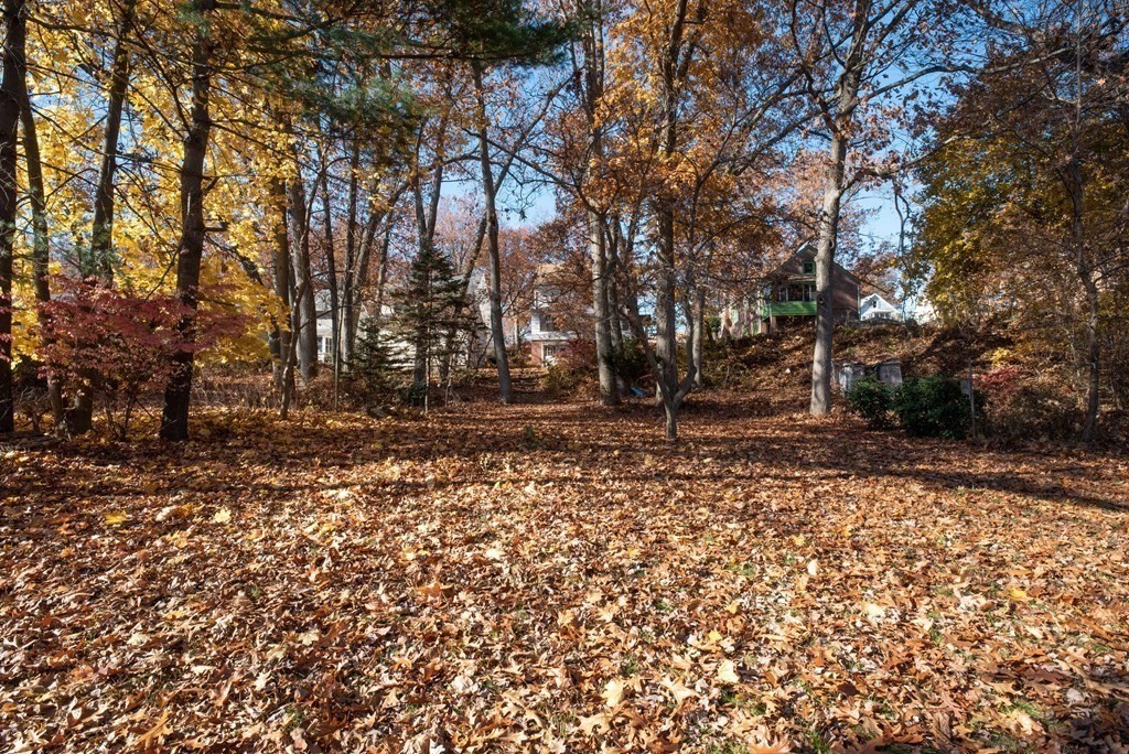 205 Norfolk Street Springfield, MA 01109 - Photo 37 of 39 Gallery Image 37