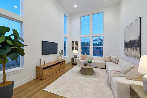 a living room with furniture potted plant and a flat screen tv