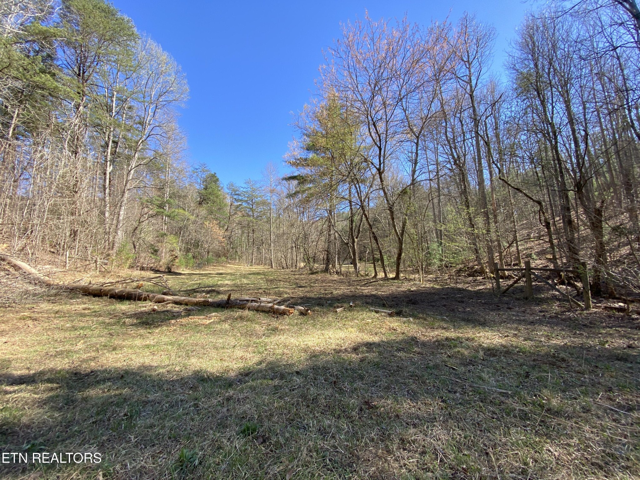 188 Dalton Branch Road Tellico Plains, TN 37385 - Photo 41 of 42