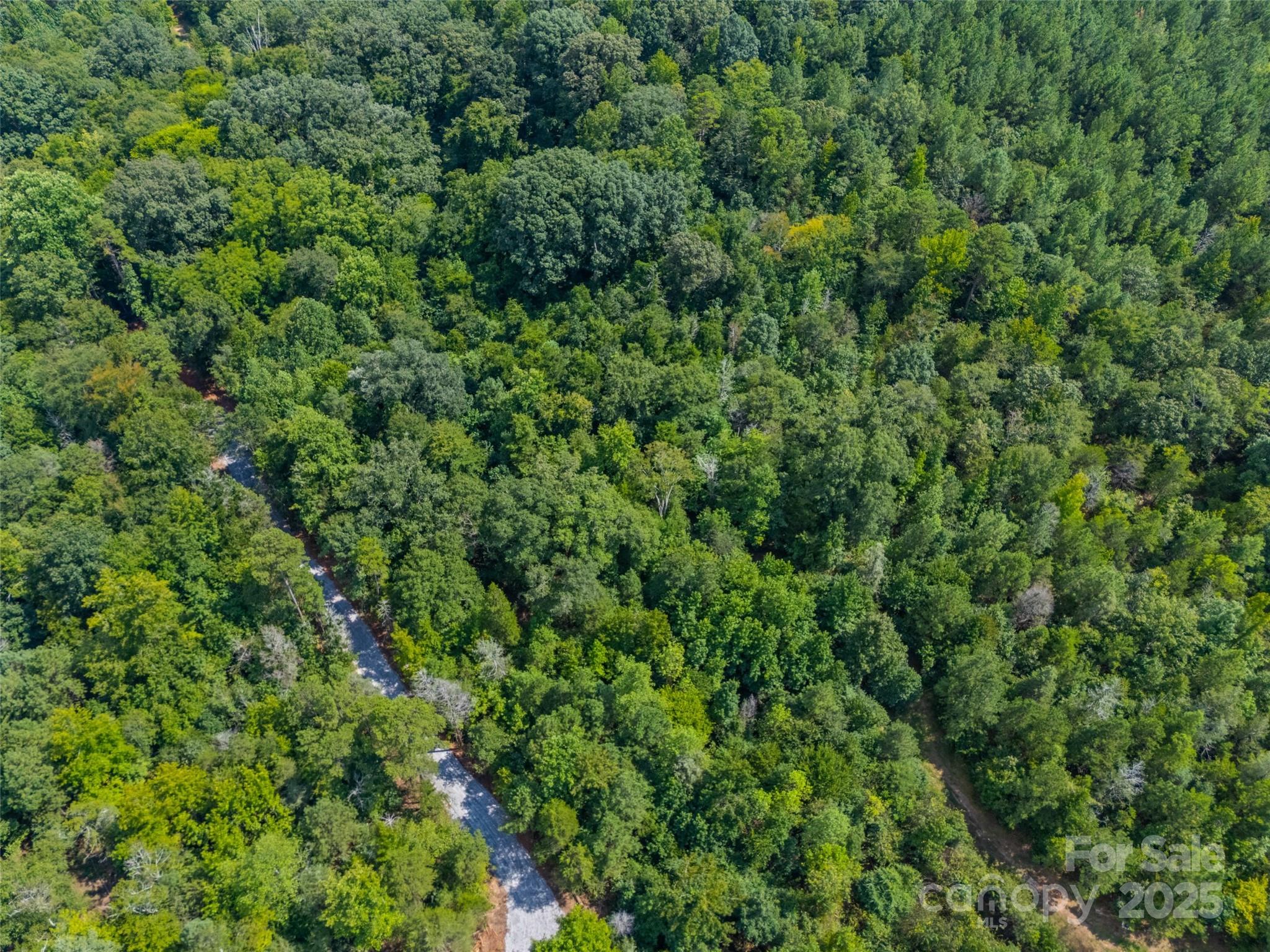 Lot 2 Ratteree Farm Road, Unit 2 Rock Hill, SC 29730 - Photo 2 of 6