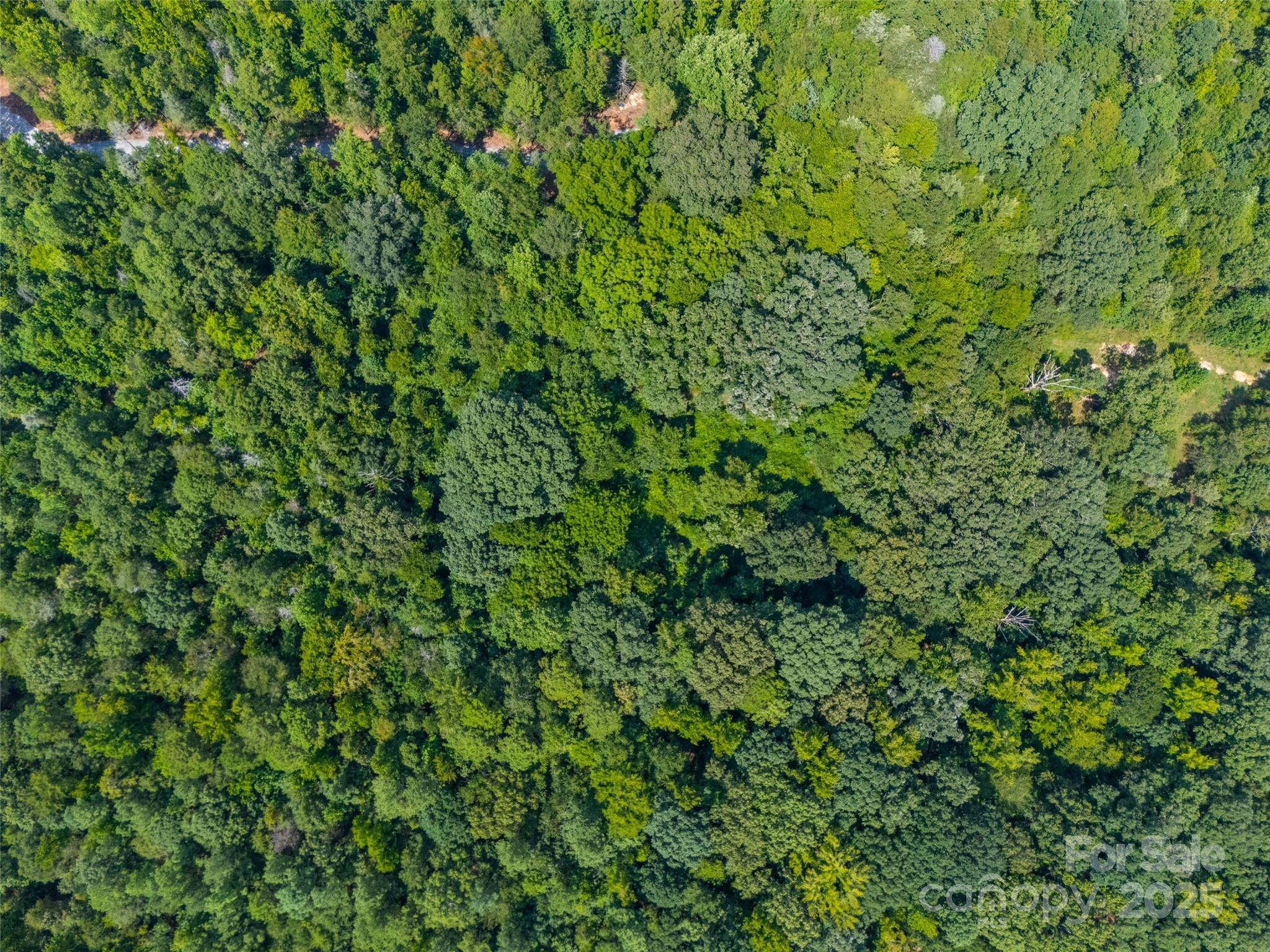 Lot 2 Ratteree Farm Road, Unit 2 Rock Hill, SC 29730 - Photo 4 of 6