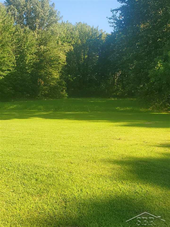 11134 East Birch Run Road Birch Run, MI 48415 - Photo 2 of 13