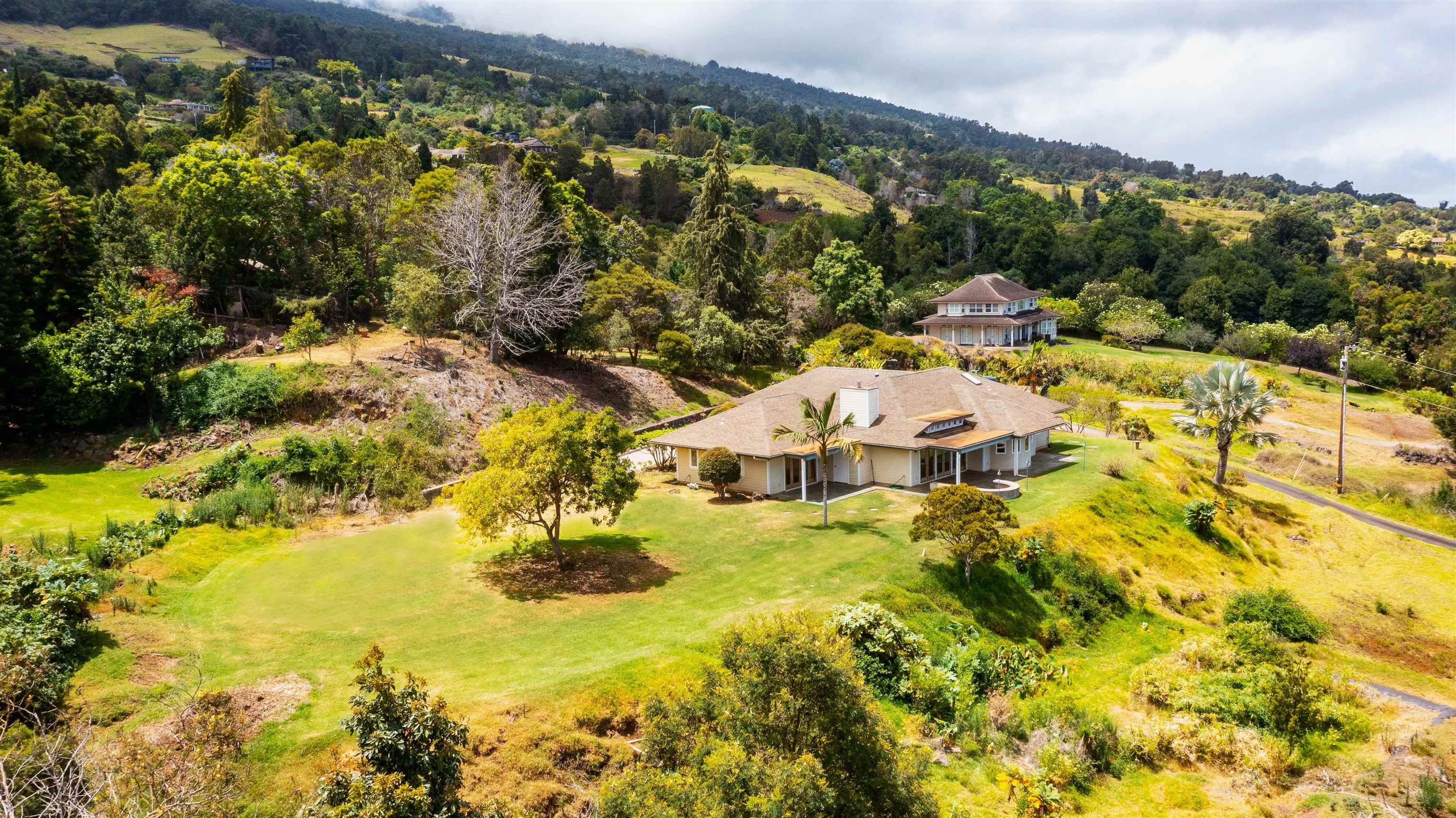7733 Kula Highway Kula, HI 96790 - Photo 20 of 30 Amazing setting