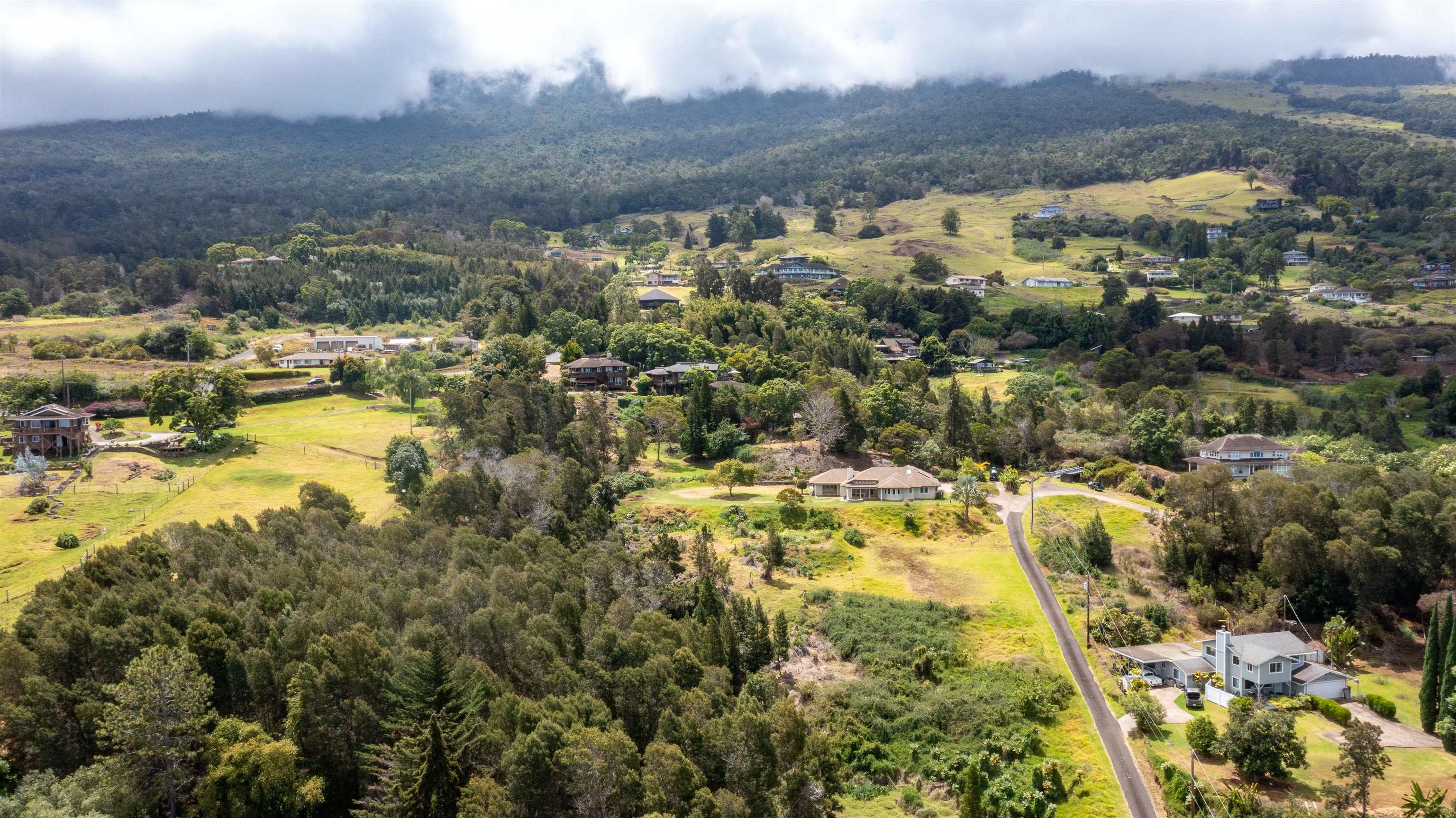 7733 Kula Highway Kula, HI 96790 - Photo 23 of 30 Beautiful Kula!