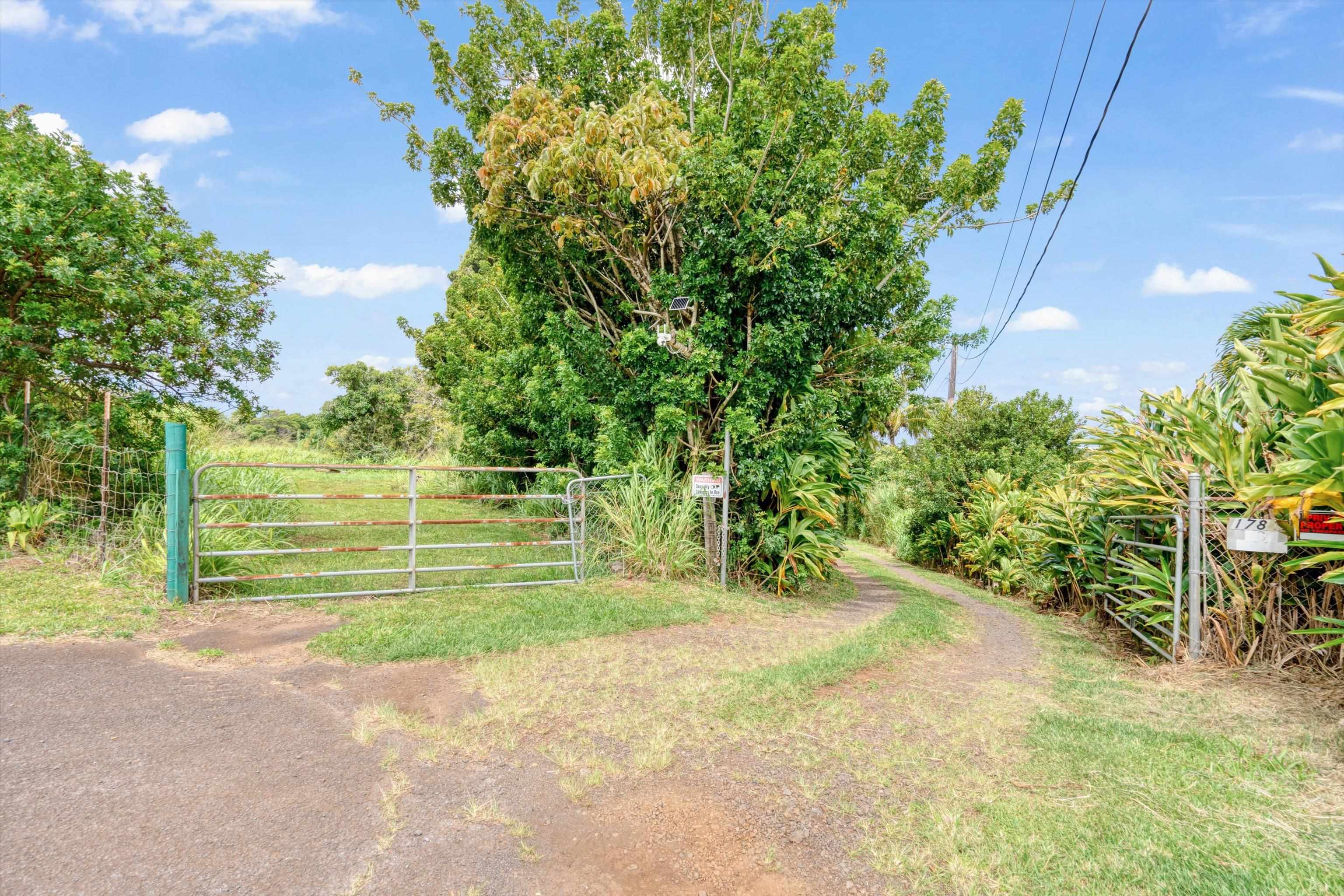 1784 West Kuiaha Road Haiku, HI 96708 - Photo 17 of 27 a view of a backyard
