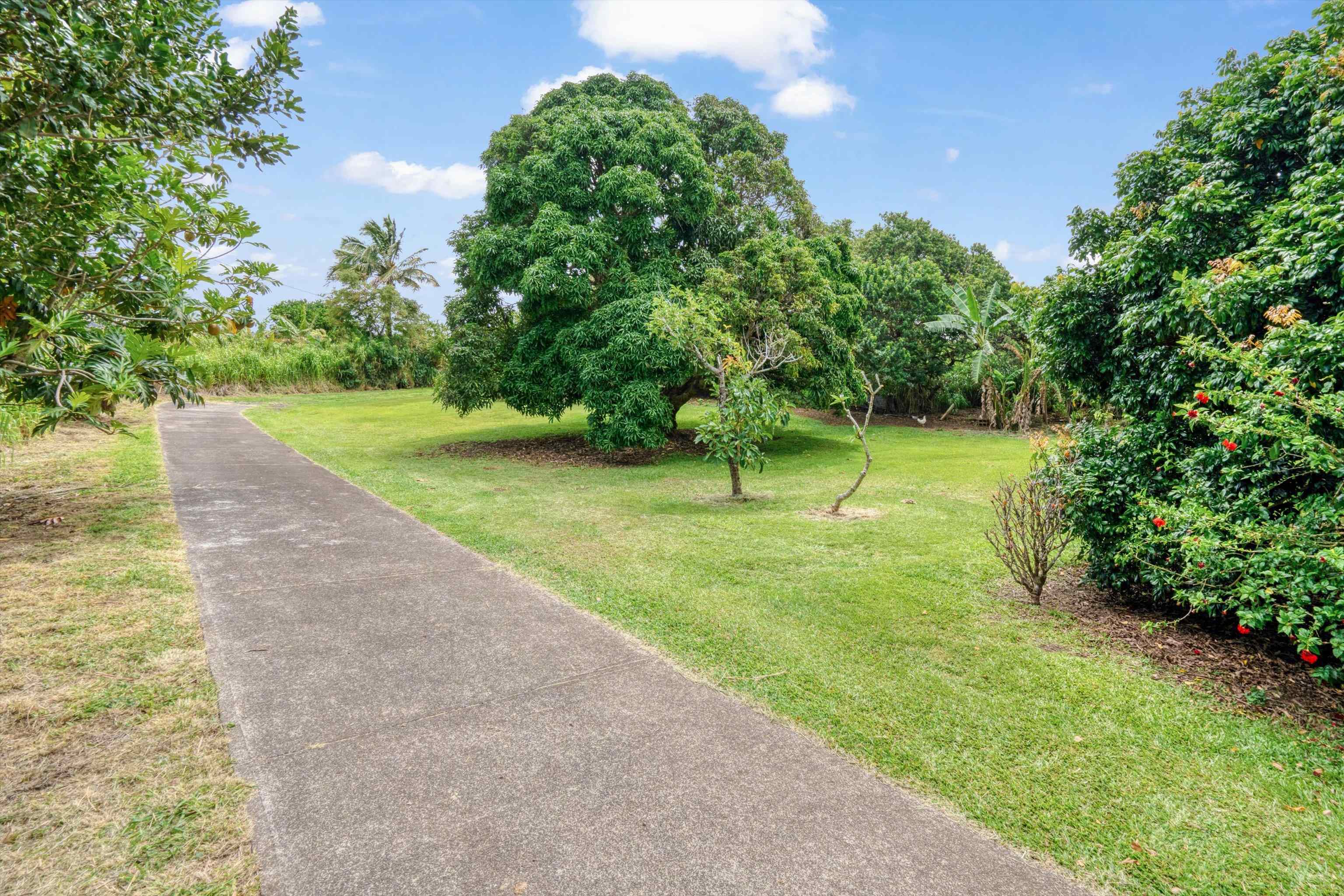 1784 West Kuiaha Road Haiku, HI 96708 - Photo 23 of 27 a view of a park with a trees