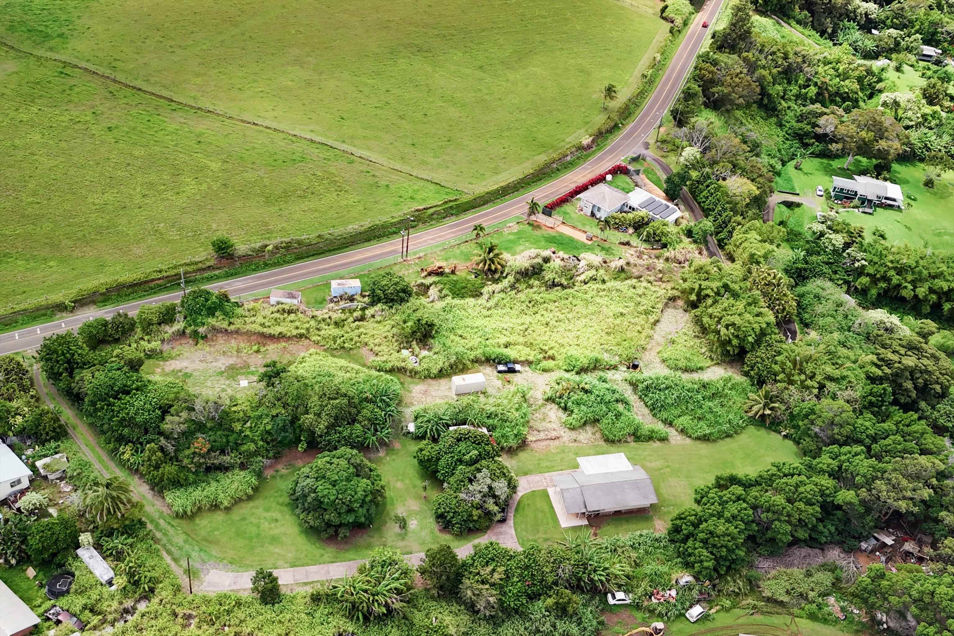1784 West Kuiaha Road Haiku, HI 96708 - Photo 4 of 27 an aerial view of a residential houses with outdoor space and street view