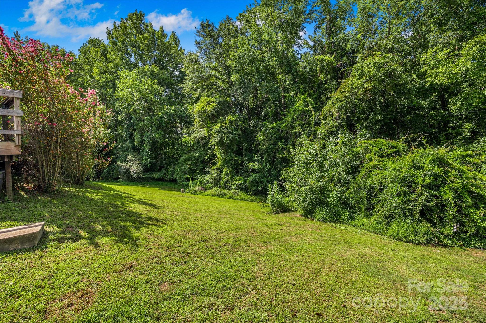 12662 Woodside Falls Road Pineville, NC 28134 - Photo 37 of 47 a view of a trees with a yard