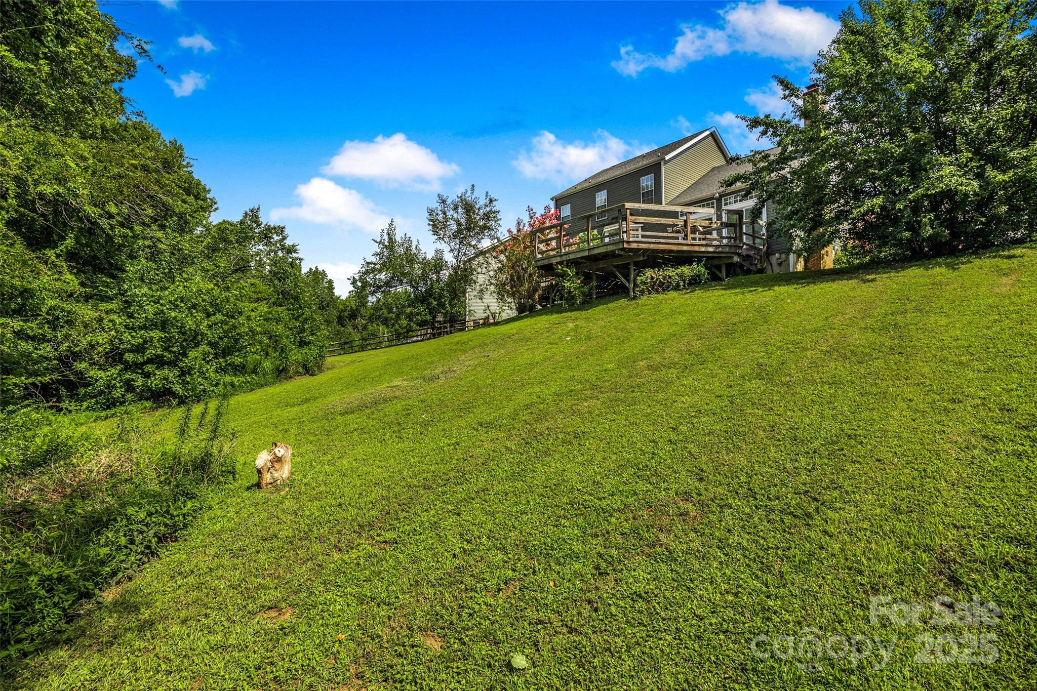 12662 Woodside Falls Road Pineville, NC 28134 - Photo 38 of 47 a view of a big yard with potted plants and large trees