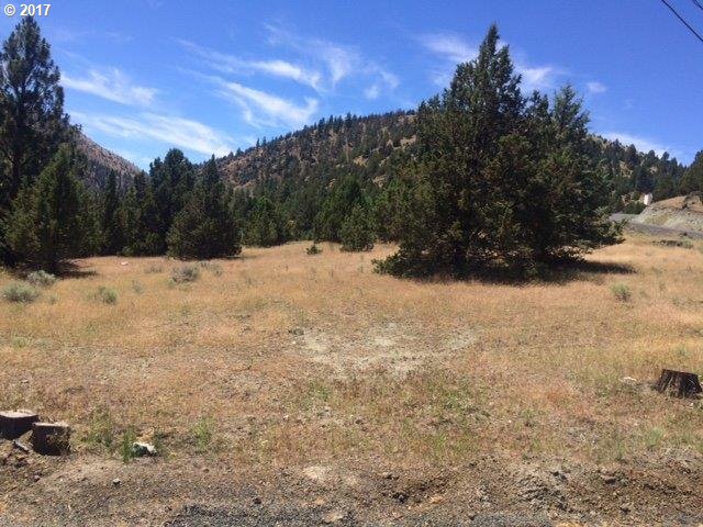 Adam Road Canyon City, OR 97820 - Photo 2 of 10