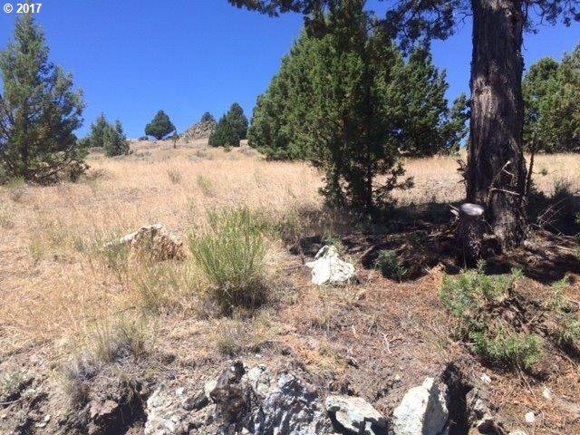 Adam Road Canyon City, OR 97820 - Photo 3 of 10 a view of a snow in a yard