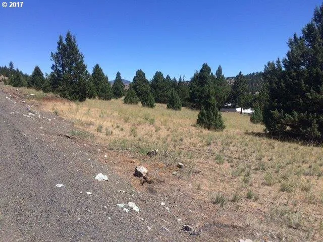 a view of a lake view with a beach