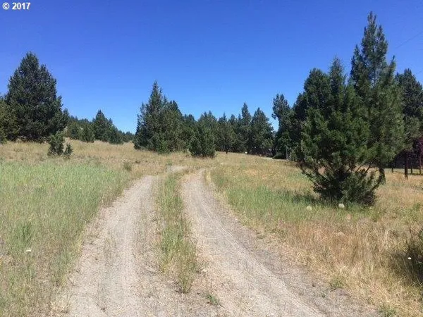 $80,000 | Adam Road, Canyon City, OR 97820