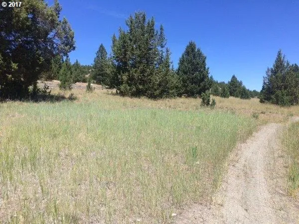$80,000 | Adam Road, Canyon City, OR 97820
