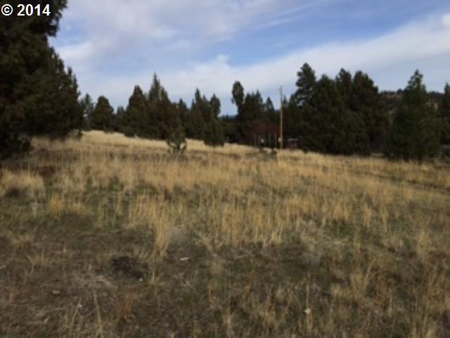 Adam Road Canyon City, OR 97820 - Photo 7 of 10 a view of a yard
