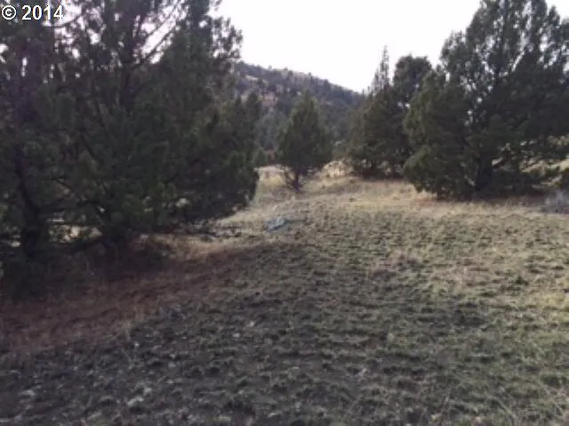 a view of lot of trees