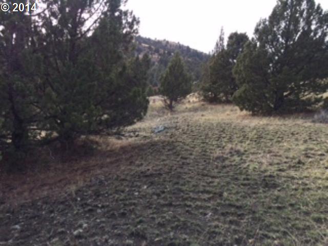 Adam Road Canyon City, OR 97820 - Photo 8 of 10 a view of a dry yard with trees