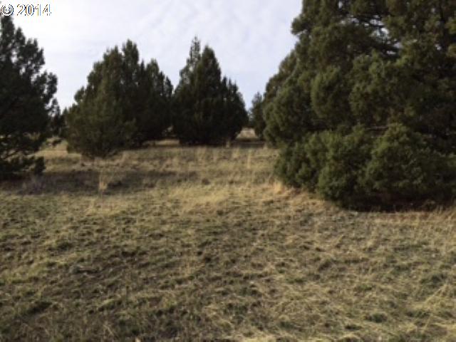 Adam Road Canyon City, OR 97820 - Photo 9 of 10 a view of lot of trees