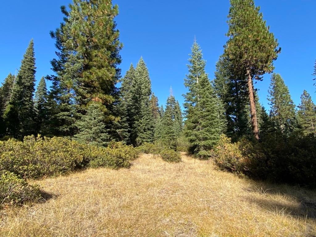 3-e-41 Red Fir Road McCloud, CA 96057 - Photo 15 of 38 Gallery Image 15
