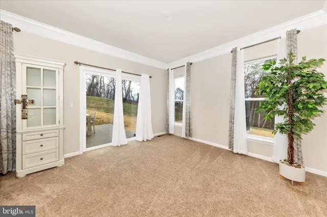 a view of an empty room with a window and potted plant