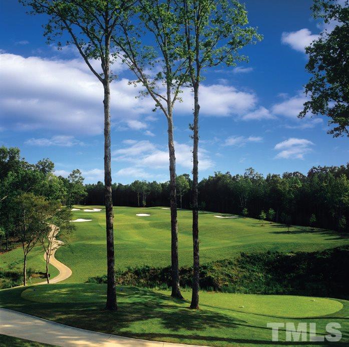 116 Roseroot Court Holly Springs, NC 27540 - Photo 20 of 25 Nicklaus Design Group golf at 12 Oaks!