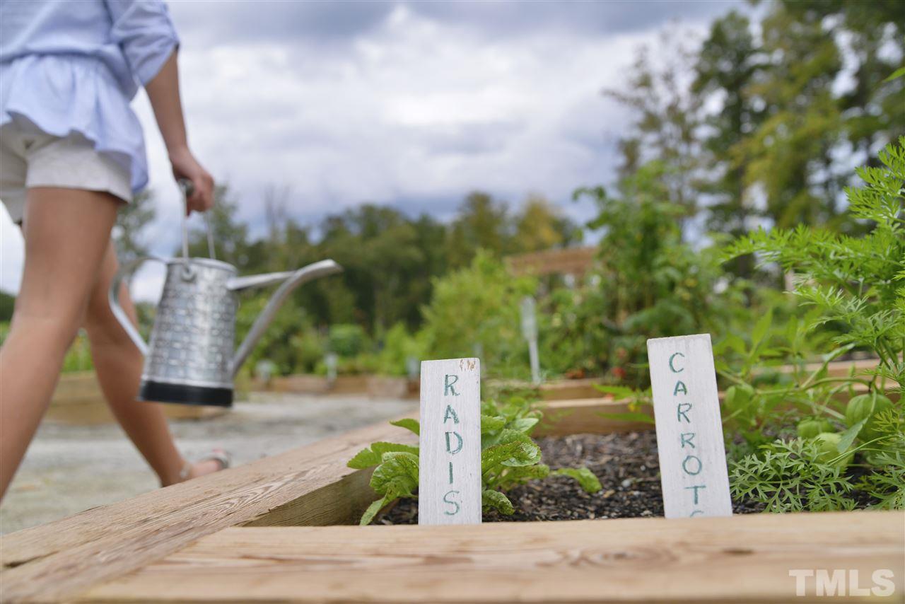 116 Roseroot Court Holly Springs, NC 27540 - Photo 24 of 25 The 12 Oaks Community Garden is a popular venue! great for teaching younger ones the joys of gardening. Farm to Table takes on a new meaning at 12 Oaks.