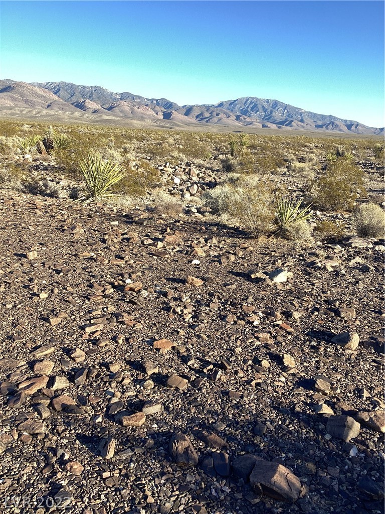 351 Ohio Road Pahrump, NV 89060 - Photo 3 of 4