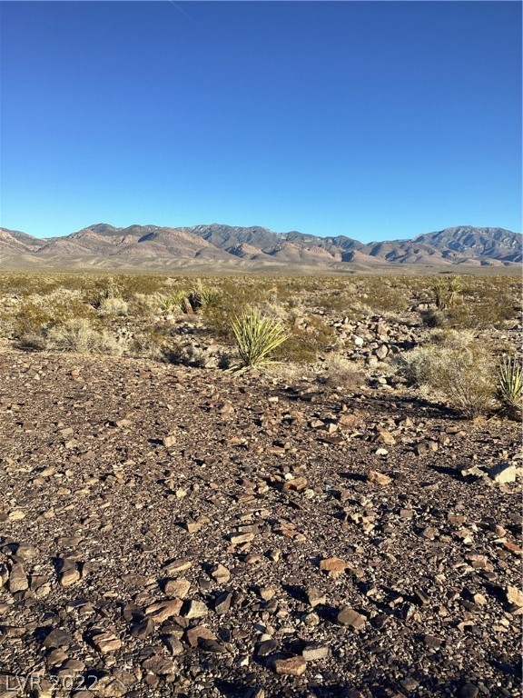 351 Ohio Road Pahrump, NV 89060 - Photo 4 of 4