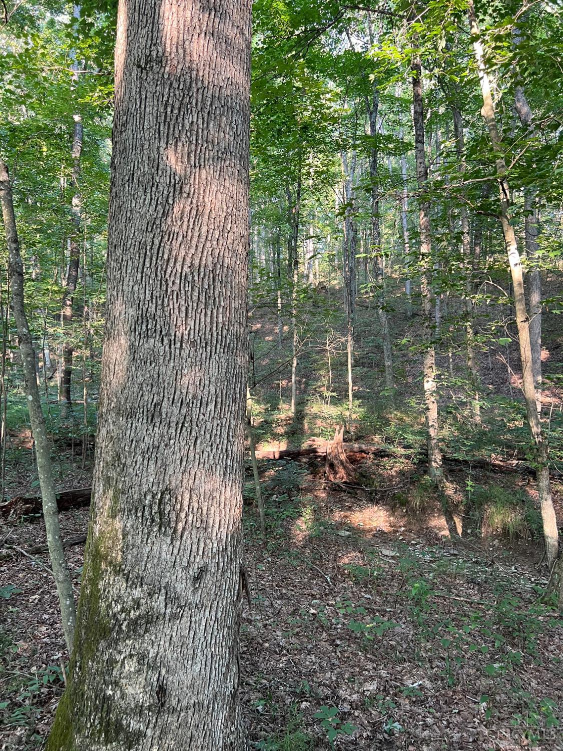 0 Tabernacle Road Chillicothe, OH 45601 - Photo 35 of 64