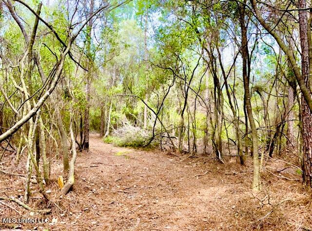 15429 Indian Fork Road Vancleave, MS 39565 - Photo 27 of 63 Trails Abound