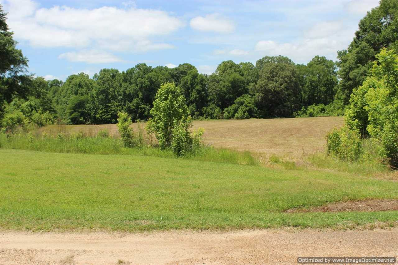2500 Fugates Road Bentonia, MS 39040 - Photo 5 of 15 Photo 5