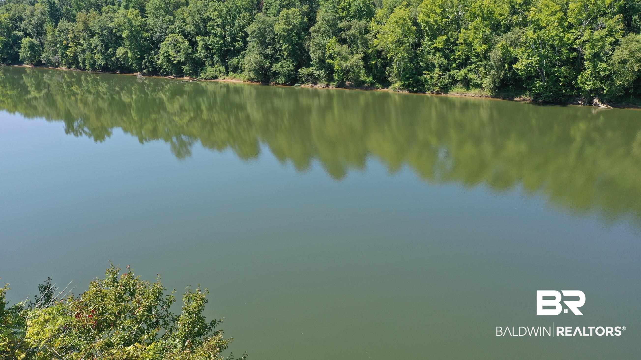 Lot 27 Judge Greene Place Road Greensboro, AL 36744 - Photo 20 of 48