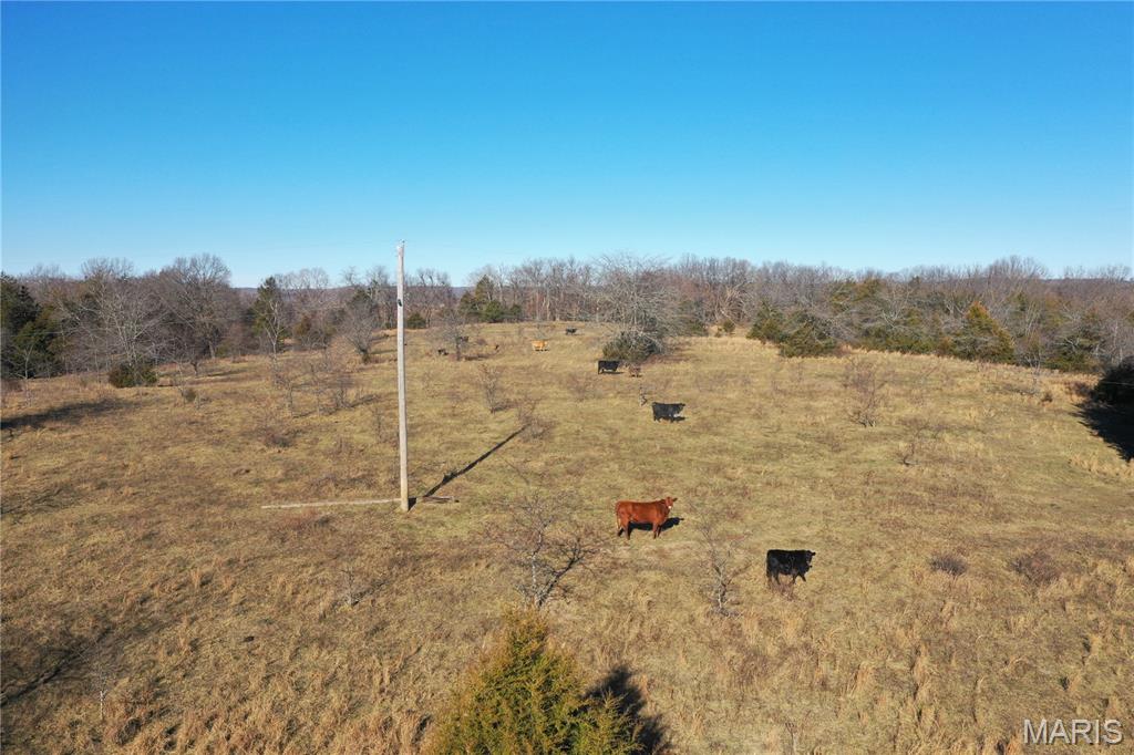 0 Cedar Creek Road Irondale, MO 63648 - Photo 11 of 51