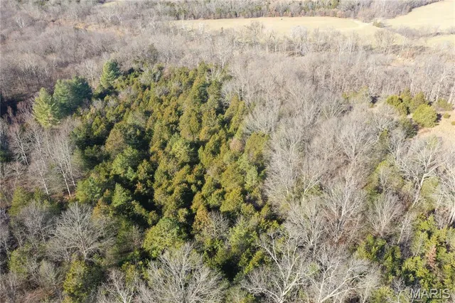 $325,000 | 0 Cedar Creek Road, Irondale, MO 63648