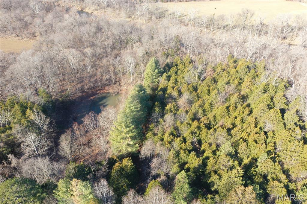 0 Cedar Creek Road Irondale, MO 63648 - Photo 16 of 51