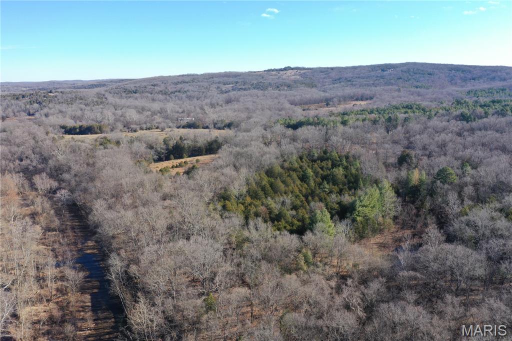 0 Cedar Creek Road Irondale, MO 63648 - Photo 17 of 51