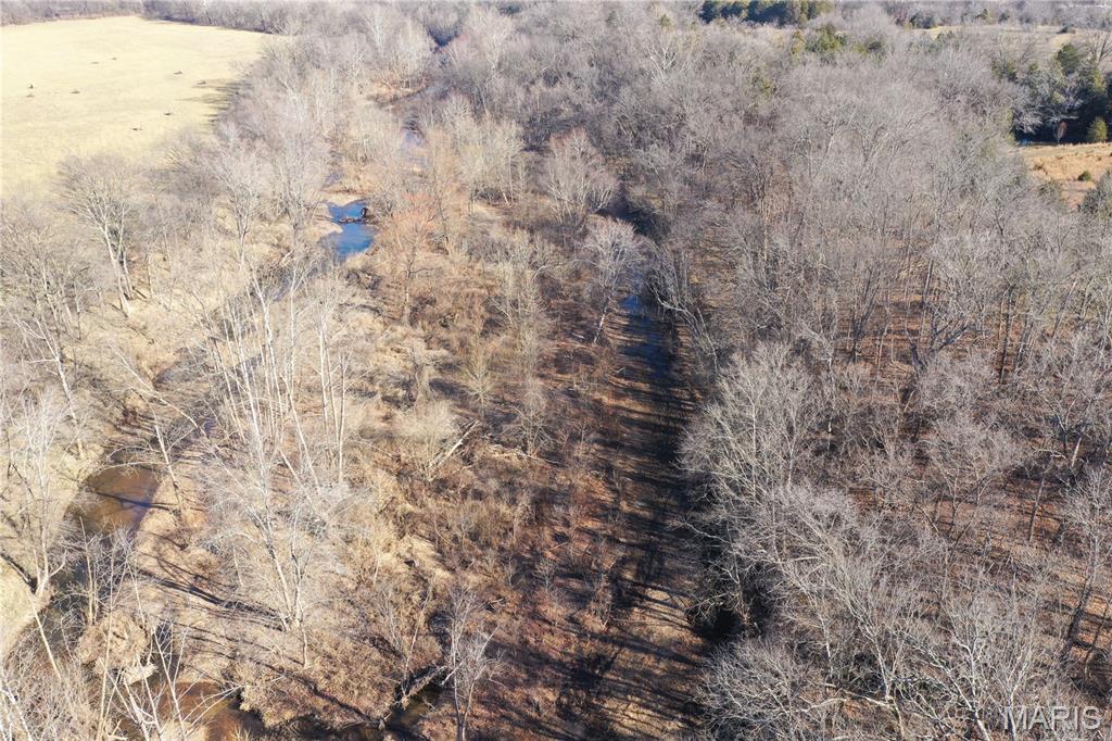 0 Cedar Creek Road Irondale, MO 63648 - Photo 18 of 51