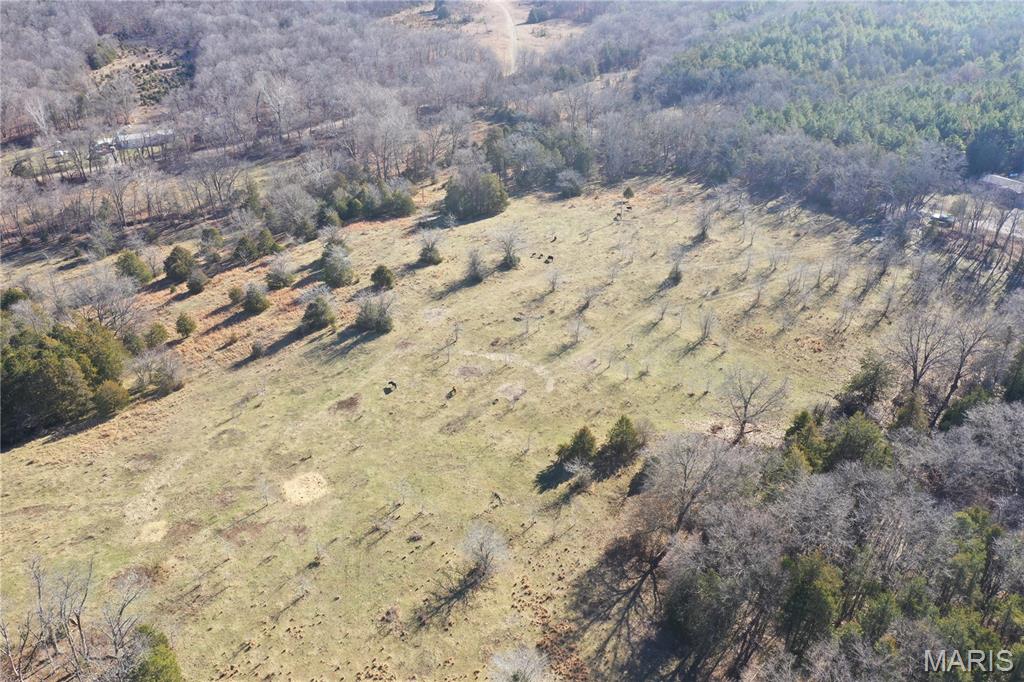 0 Cedar Creek Road Irondale, MO 63648 - Photo 20 of 51