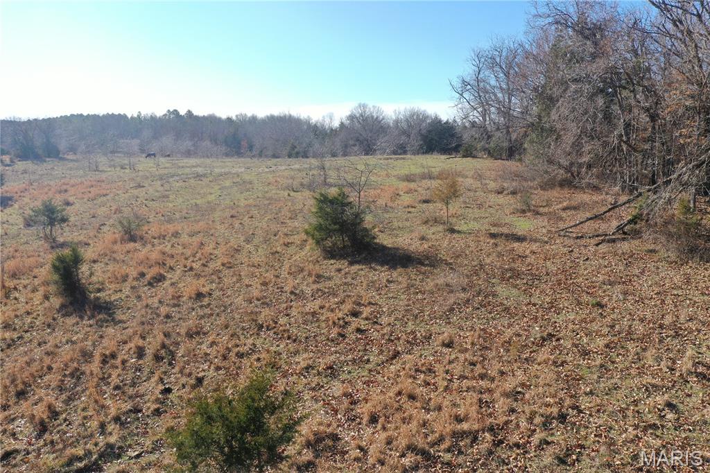 0 Cedar Creek Road Irondale, MO 63648 - Photo 24 of 51