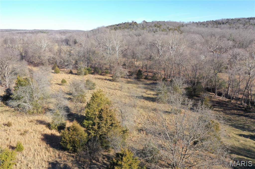 0 Cedar Creek Road Irondale, MO 63648 - Photo 26 of 51