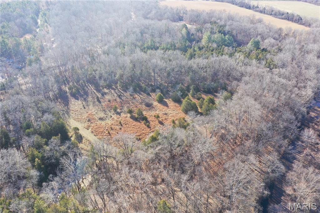 0 Cedar Creek Road Irondale, MO 63648 - Photo 27 of 51