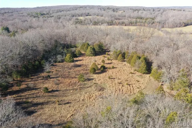 $325,000 | 0 Cedar Creek Road, Irondale, MO 63648