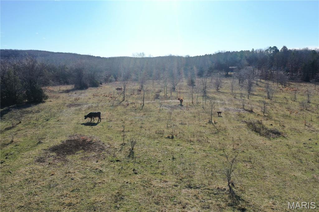 0 Cedar Creek Road Irondale, MO 63648 - Photo 30 of 51